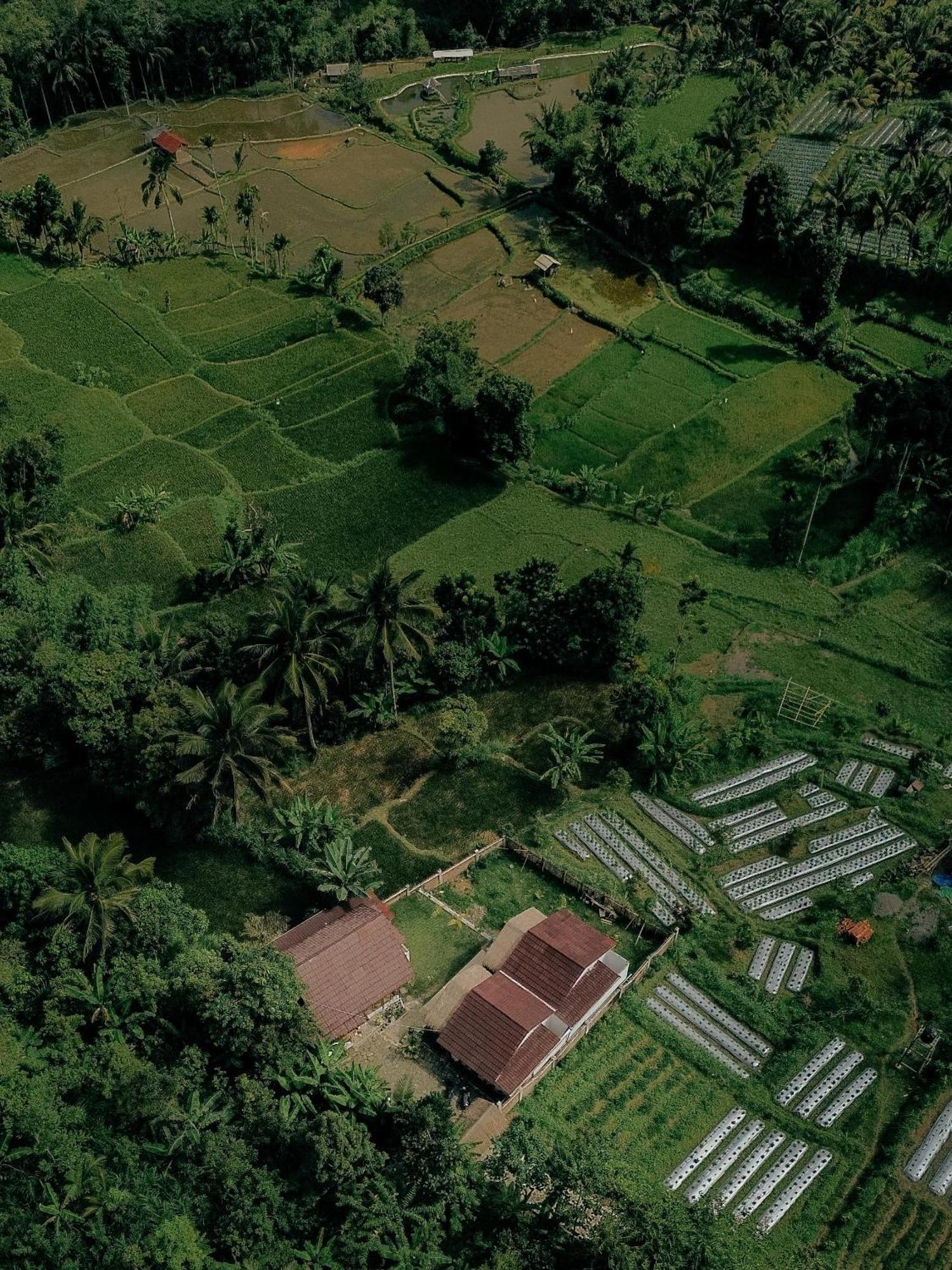 Alora House Lombok Tete Batu Hotel Tetebatu Bagian luar foto