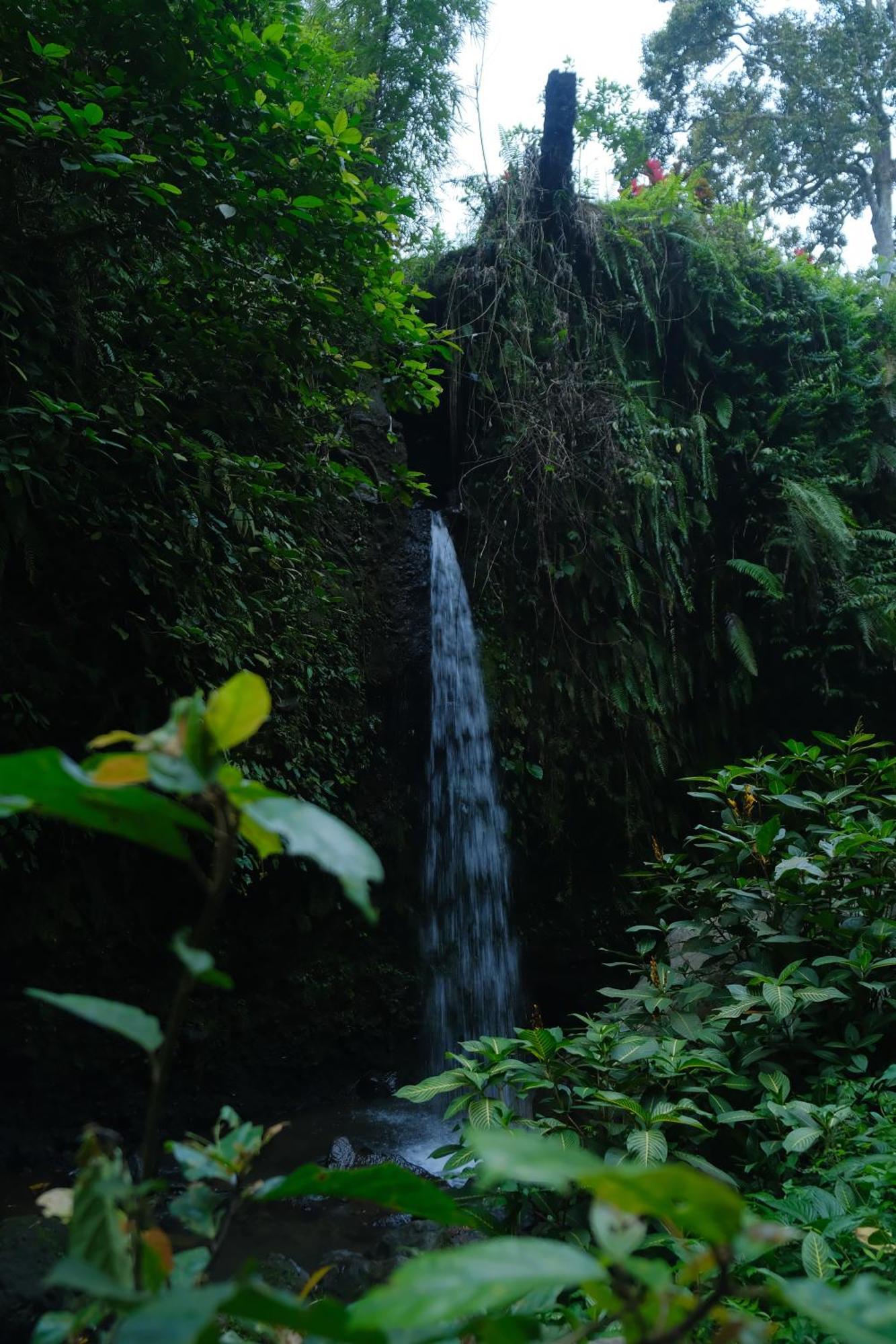 Alora House Lombok Tete Batu Hotel Tetebatu Bagian luar foto